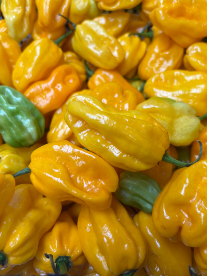 Zesty Lime Hot Sauce