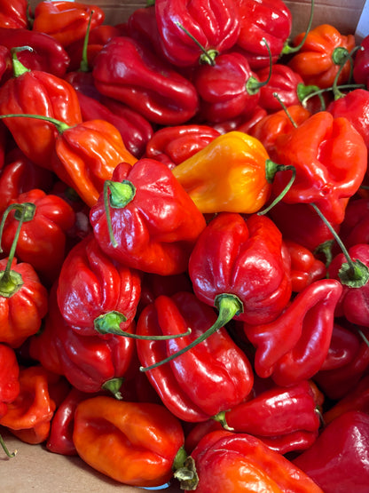 Hot Sauce Twin Pack